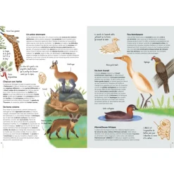 Atlas de la Biodiversidad - Ecosistemas a proteger - Sassi Junior