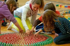 Boite de 500 dominos Pestas - Pestas