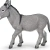 Burro de Provenza - Papo