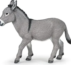 Burro de Provenza - Papo