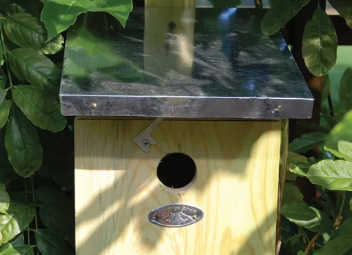 Caja nido para carboneros - Esschert Design