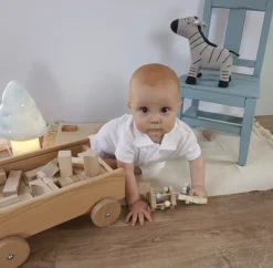 Carro con bloques de madera - Egmont Toys
