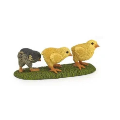 Chicks - Papo