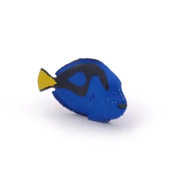 Cirujano de peces - Papo