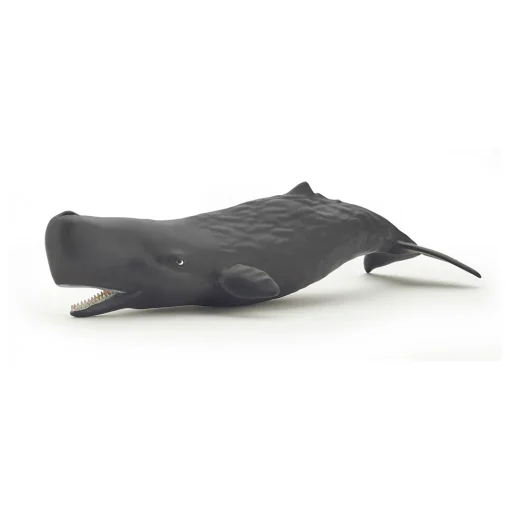Figura de cachalote bebé - Papo