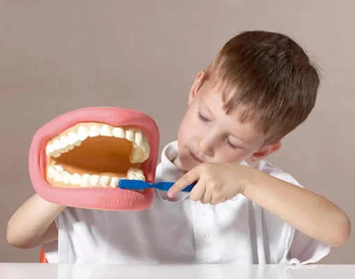 Kit de demostración dental gigante - TickiT
