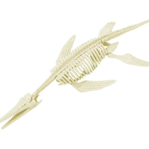 Kit Paleo - Pliosaure - Ulysse