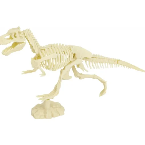 Kit Paleo - Tiranosaurio - Ulysse