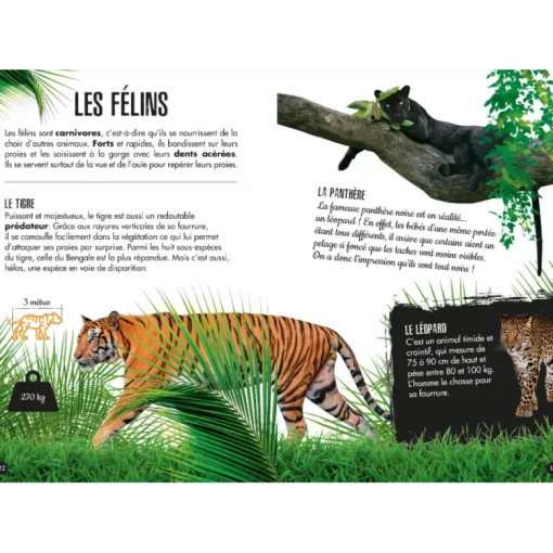 La Jungla - El elefante 3D - Sassi Junior