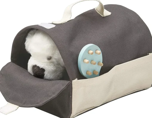 Maleta de viaje para mascotas - Plan Toys