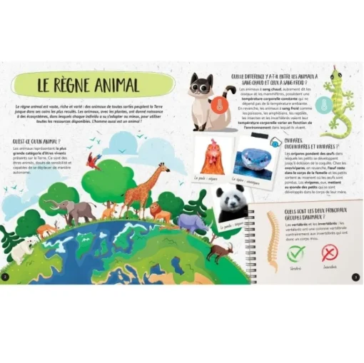 Mega Atlas de Animales - Sassi Junior