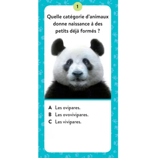 Mega Atlas de Animales - Sassi Junior