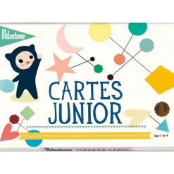 Tarjetas de recuerdo - Junior - Milestone