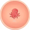 Tazón de silicona Slurpy el pulpo - Sassi Junior