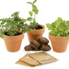 Trío de plantas mágicas - Radis et Capucine