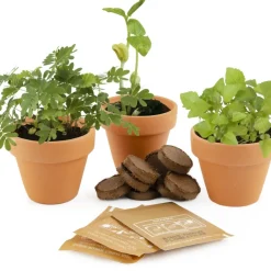Trío de plantas mágicas - Radis et Capucine