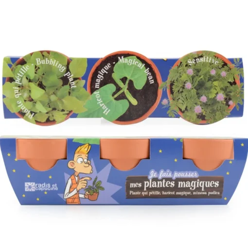 Trío de plantas mágicas - Radis et Capucine