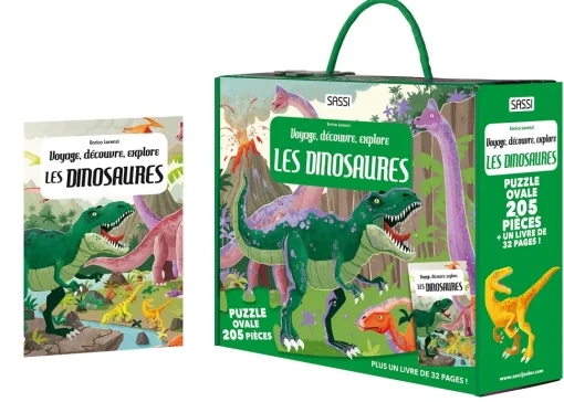 Viajar, descubrir, explorar - Dinosaurios - Sassi Junior