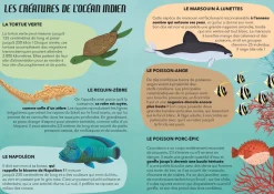 Viajar, descubrir, explorar - El Mar - Sassi Junior
