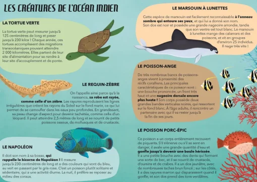 Viajar, descubrir, explorar - El Mar - Sassi Junior